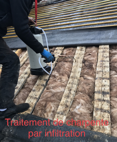 traitement charpente infiltration